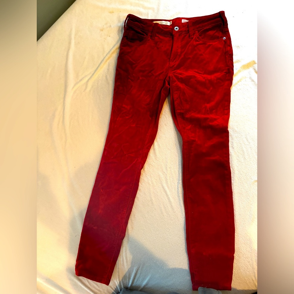 Anthropology Pilcro brand Red Suede pants